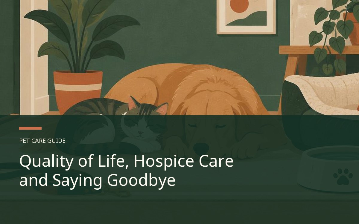 Illustrative article cover for Quality of Life, Hospice Care and Saying Goodbye